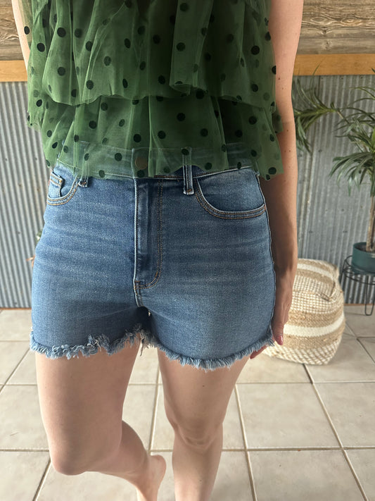 Judy Blue High Waist Plus Dark Wash