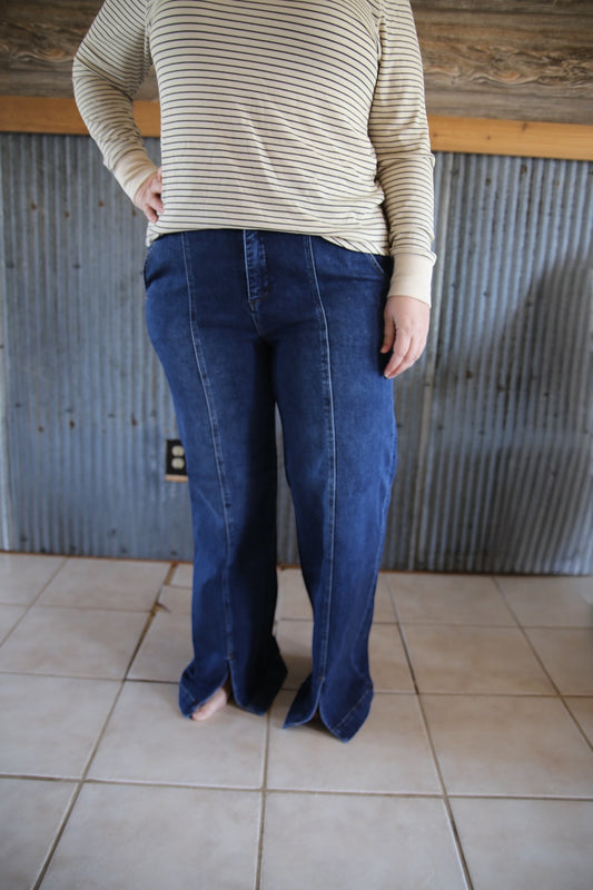 Jody Risen High Rise Plus Size Jeans